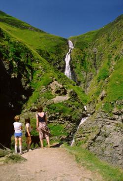 Grey Mares Tail