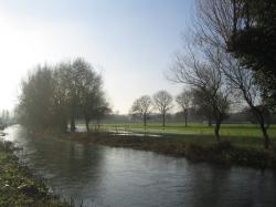 River Itchen