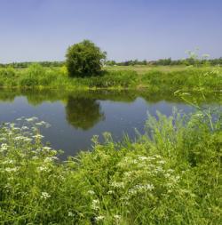 River Avon