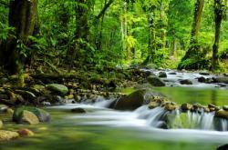 River Teme