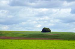 Salisbury Plain