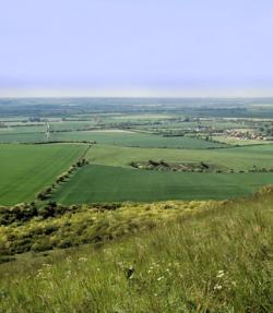 Dunstable Downs