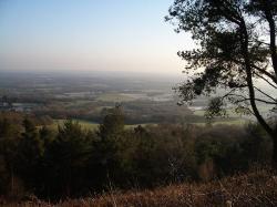 The North Downs