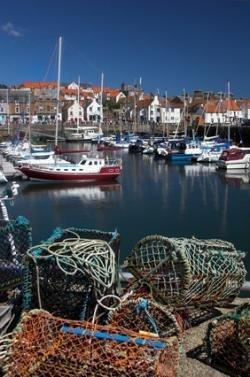 Crail