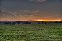 Handforth
