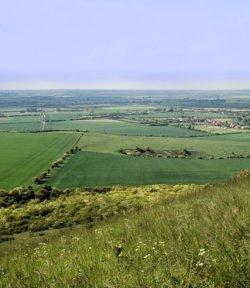 Ivinghoe