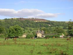 Kerridge
