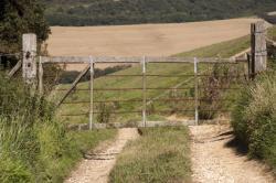 Milton Abbas