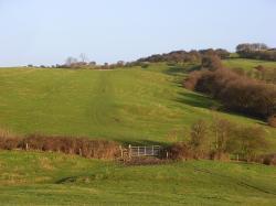 Quainton