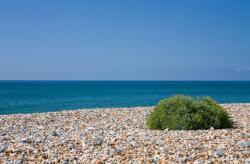 St. Leonards On Sea