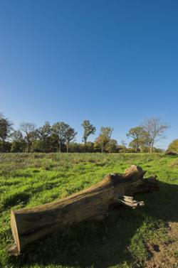 Woodford Bridge