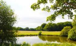 Woodlands Park