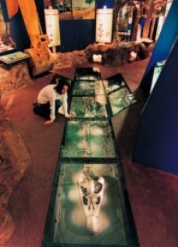 Charnwood Museum