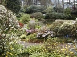 Arduaine Garden (NTS)