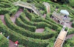 Escot Gardens, Maze & Forest Adventure
