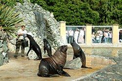 Banham Zoo