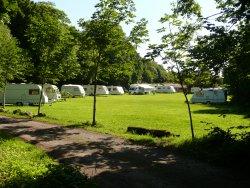 Brook Lodge Farm Camping & Caravan Park