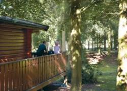 Kenwick Woods