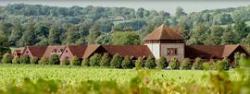 Denbies Wine Estate