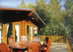 Longnor Wood (adults only)