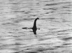 First Photo of Nessie