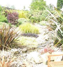 Paddock Farm Nursery & Water Gardens