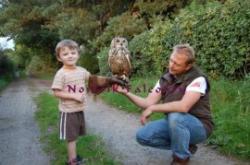 Norfolk Falconry